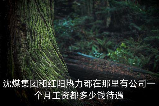 沈煤集團和紅陽熱力都在那里有公司一個月工資都多少錢待遇