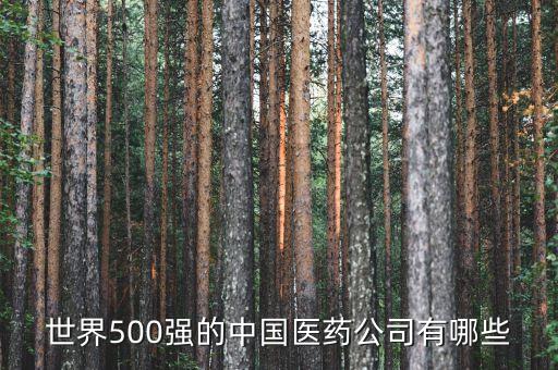 世界500強的中國醫(yī)藥公司有哪些