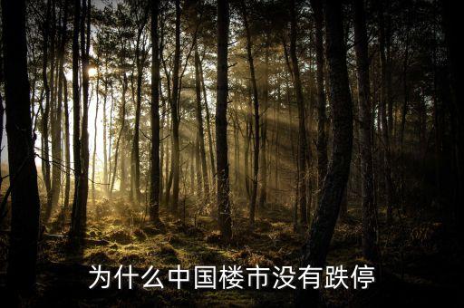 為什么中國(guó)房地產(chǎn)不崩盤，為什么中國(guó)樓市沒(méi)有跌停