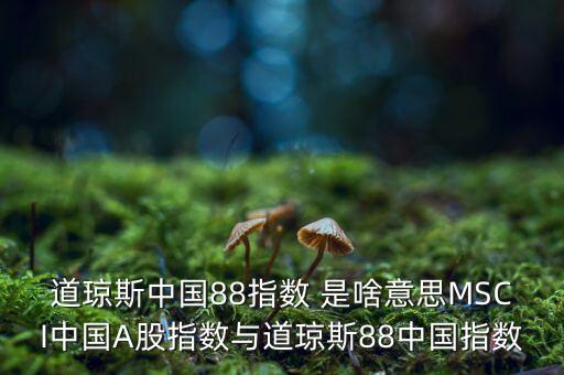 88開頭的股票是什么股，88打頭的股票代碼是那個(gè)交易所