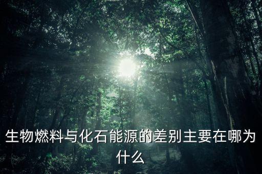 為什么非化石能源，生物燃料與化石能源的差別主要在哪為什么