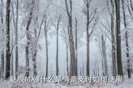 什么叫支付場(chǎng)景，魅族MX3什么是情景支付如何使用