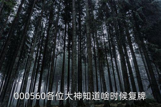 棟梁新材什么時候復(fù)牌，000560各位大神知道啥時候復(fù)牌