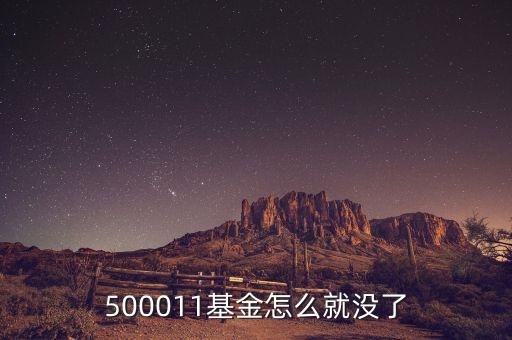 500011基金怎么就沒了