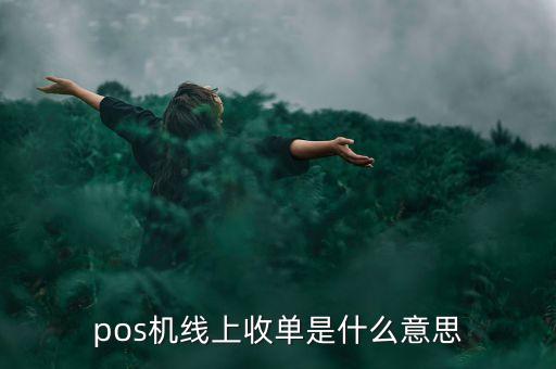 pos機收單什么意思，手刷POs電子小票顯示收單行是收單行2是啥意思