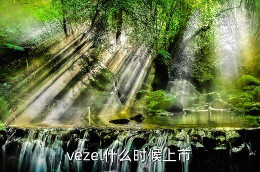 維珍妮集團(tuán)什么時候上市，vezel什么時候上市