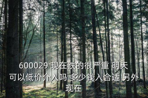 600029 現(xiàn)在跌的很嚴(yán)重 明天可以低價(jià)介入嗎 多少錢入合適 另外現(xiàn)在