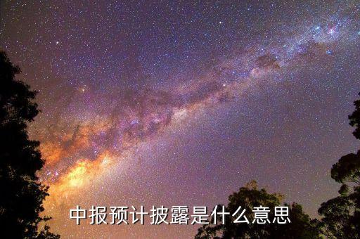 預先披露是什么意思，中報預計披露是什么意思