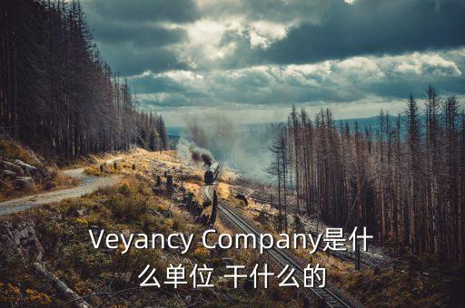 時(shí)代沃頓科技有限公司是什么單位，Veyancy Company是什么單位 干什么的