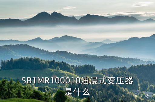 油浸式變壓器什么是酚推，SB1MR100010油浸式變壓器是什么