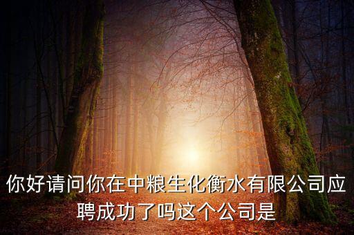 你好請問你在中糧生化衡水有限公司應聘成功了嗎這個公司是