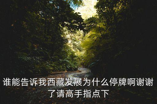 誰(shuí)能告訴我西藏發(fā)展為什么停牌啊謝謝了請(qǐng)高手指點(diǎn)下