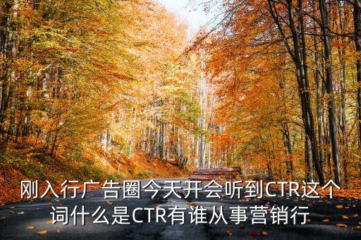 剛?cè)胄袕V告圈今天開會(huì)聽到CTR這個(gè)詞什么是CTR有誰從事營銷行