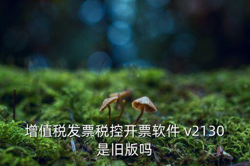 增值稅發(fā)票稅控開票軟件 v2130是舊版嗎