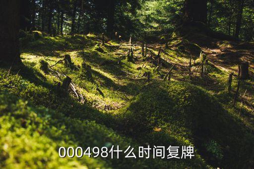 漢鼎股份什么時(shí)候復(fù)牌，000498什么時(shí)間復(fù)牌