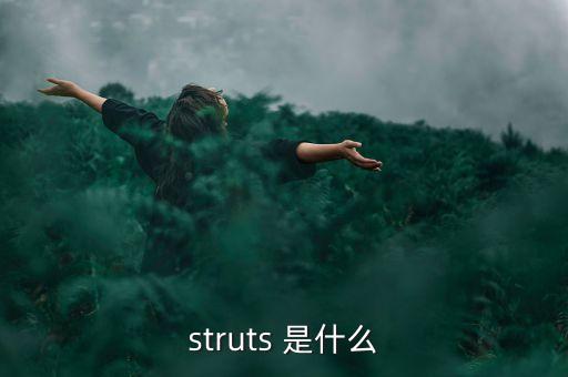 什么是中植系，struts 是什么