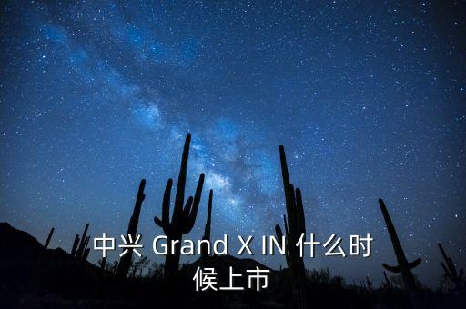 中興 Grand X IN 什么時(shí)候上市