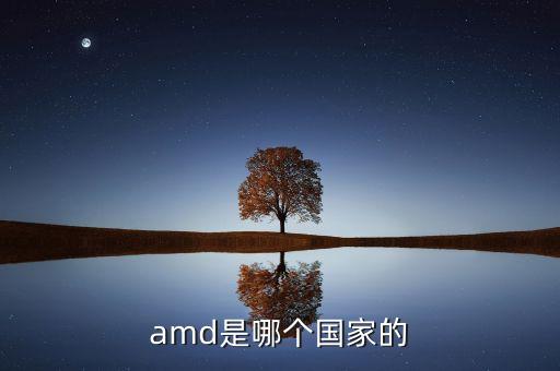 amc是什么公司，amd是哪個(gè)國(guó)家的