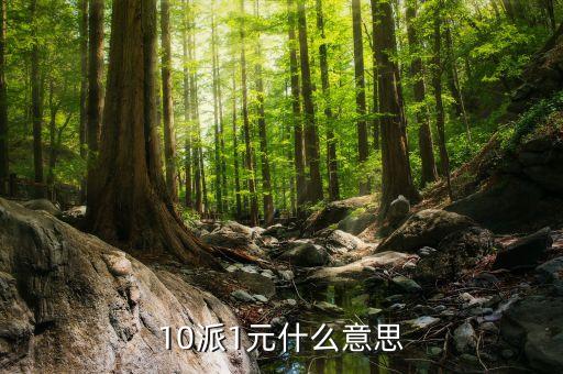 基金10派1是什么意思，山東墨龍股10轉(zhuǎn)10派1是什么意思