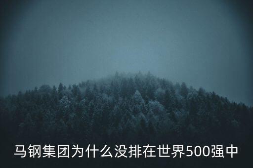 馬鋼集團為什么沒排在世界500強中