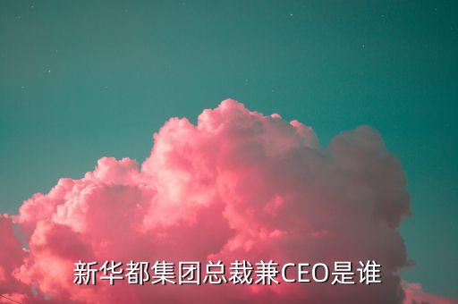 新華都集團總裁兼CEO是誰