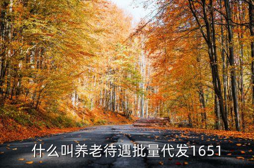 什么叫養(yǎng)老待遇批量代發(fā)1651