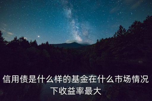 信用債是什么樣的基金在什么市場情況下收益率最大