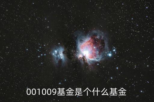 001009基金是個(gè)什么基金