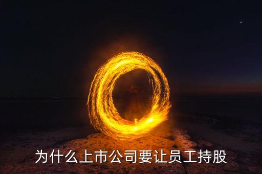 公司強(qiáng)迫員工入股的動機(jī)是什么，4個人的公司要求員工入股是什么目的