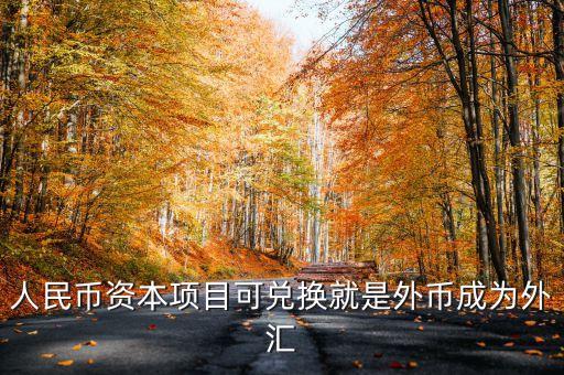 人民幣資本項(xiàng)目可兌換就是外幣成為外匯