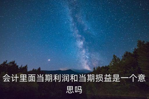 當(dāng)期利潤是指什么意思，當(dāng)期利潤當(dāng)期應(yīng)付利息等等中的當(dāng)期是什么含義