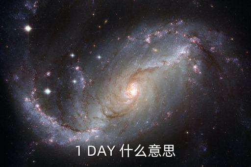 天天發(fā)1天期什么意思，1 DAY 什么意思