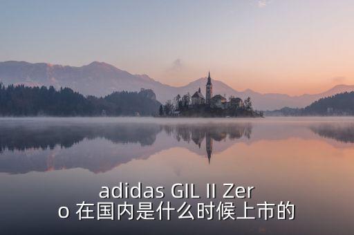 adidas GIL II Zero 在國內(nèi)是什么時(shí)候上市的