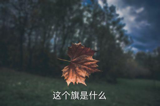 這個旗是什么