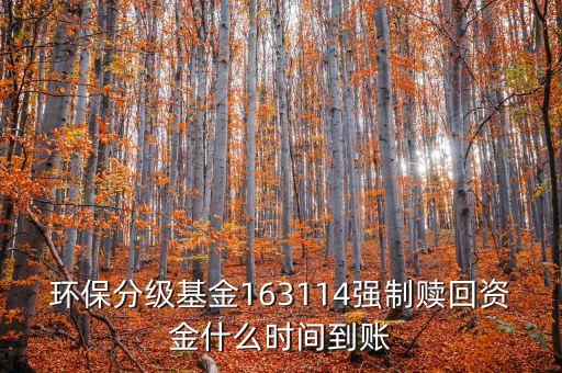 163114什么時候開盤，163114是個什么玩意啊賣也賣不出