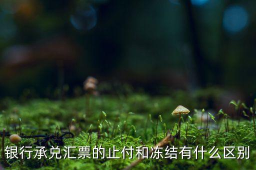 凍結止付什么意思，銀行承兌匯票的止付和凍結有什么區(qū)別