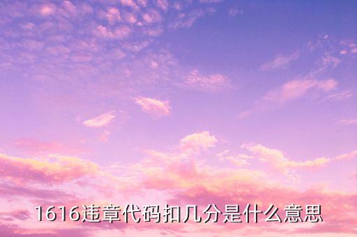 1616違章代碼扣幾分是什么意思