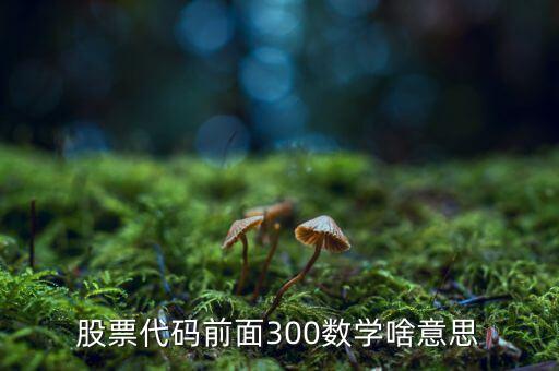 股票代碼前面300數(shù)學(xué)啥意思