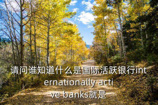 請(qǐng)問(wèn)誰(shuí)知道什么是國(guó)際活躍銀行internationally active banks就是