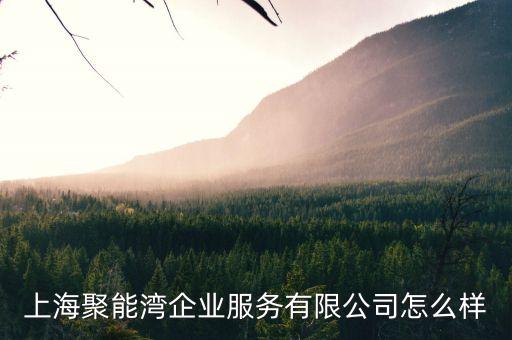 上海聚能灣企業(yè)服務(wù)有限公司屬于什么行業(yè)，上海聚能灣企業(yè)服務(wù)有限公司怎么樣