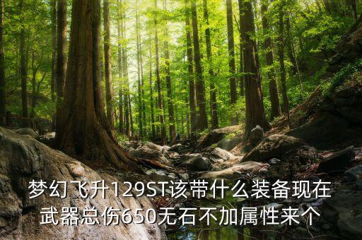 夢(mèng)幻飛升129ST該帶什么裝備現(xiàn)在武器總傷650無石不加屬性來個(gè)