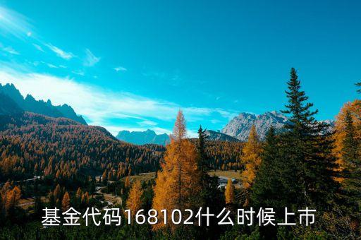 168101基金什么時候上市，基金代碼168102什么時候上巿