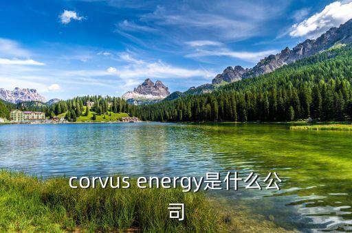 凱富能源是什么公司，corvus energy是什么公司