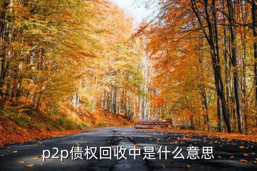 p2p債權回收中是什么意思