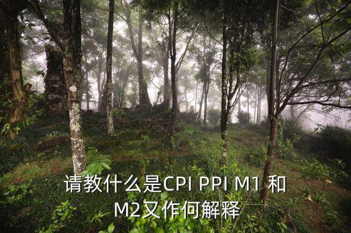 m2指數(shù)是什么，請教什么是CPI PPI M1 和 M2又作何解釋