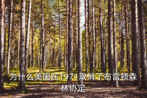 什么取代了布雷頓森林體系，布雷頓森林體系的產(chǎn)生說明了