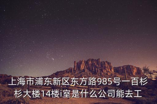 上海市浦東新區(qū)東方路985號一百杉杉大樓14樓i室是什么公司能去工