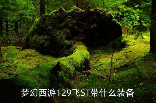 夢(mèng)幻西游129飛ST帶什么裝備