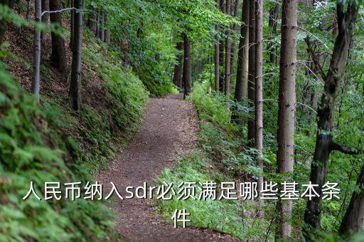 人民幣納入sdr必須滿足哪些基本條件