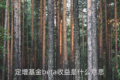 定增基金beta收益是什么意思